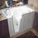 Flagstaff 52'' x 29'' Walk-in Fiberglass Bathtub with Faucet