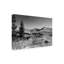 Art sur toile Kent Flora-104135162