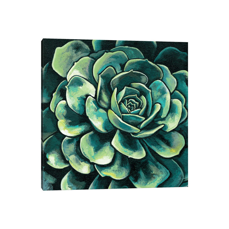 Succulent Bloom II by Megan Meagher - Wrapped Canvas Print, 45.72 cm H x 45.72 cm W x 3.175 cm D