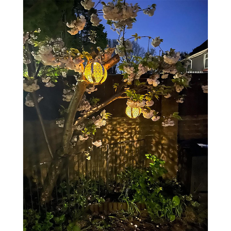 Daliya 28cm Solar Powered Integrated LED