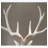 Nordic Elk Fiberglass Sculpture Piece