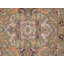 Oriental Area Rug in Tan