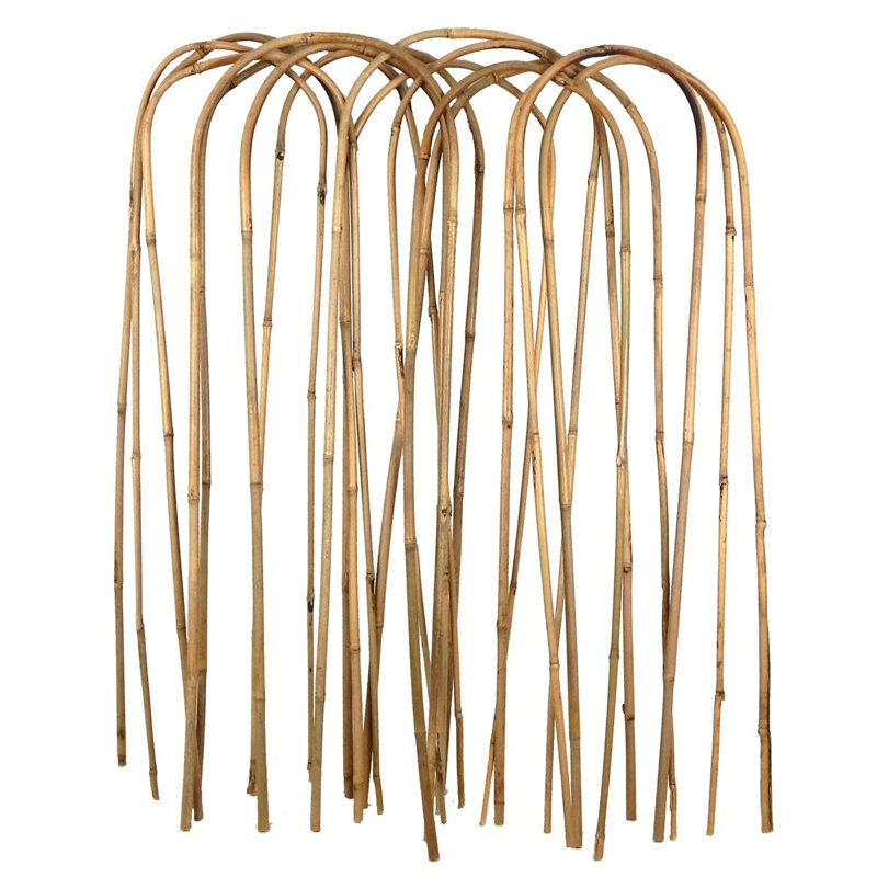 30 po Ensemble de 16 piquets en bambou U Trellis Hoop
