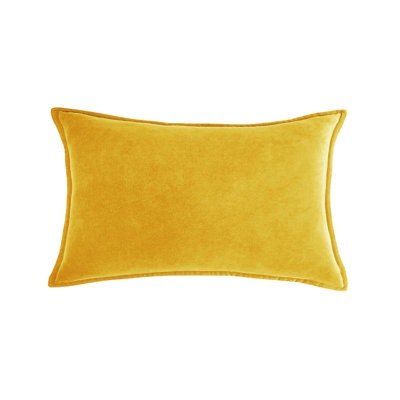 (Couvertures avec insertions) Ensemble de 2 coussins décoratifs rectangulaires en velours mesurant 12 po x 20 po