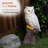 28"H Owl on Tree Trunk Garden Statue