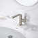 Varen Single Hole Single-Handle Bathroom Faucet with drain