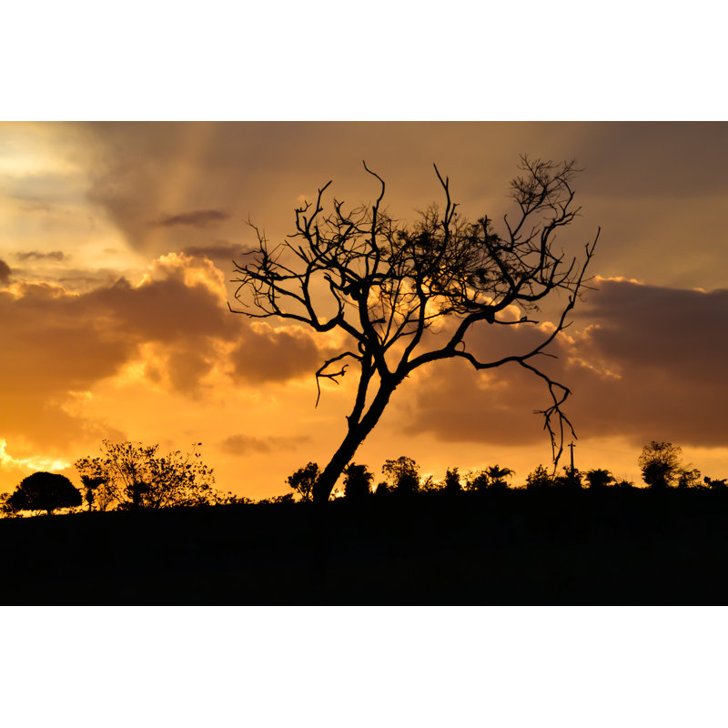 Tree On Fire by Gervanio - Wrapped Canvas Print, 30cm H x 46cm W