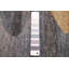 Tapis gris Peshawar Ziegler 5 pi 1 po x 7 pi 1 po