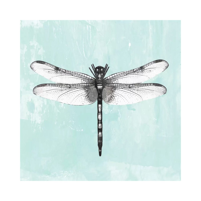 Dragonfly I - Wrapped Canvas Print, 45.72 cm H x 45.72 cm W x 1.91 cm D