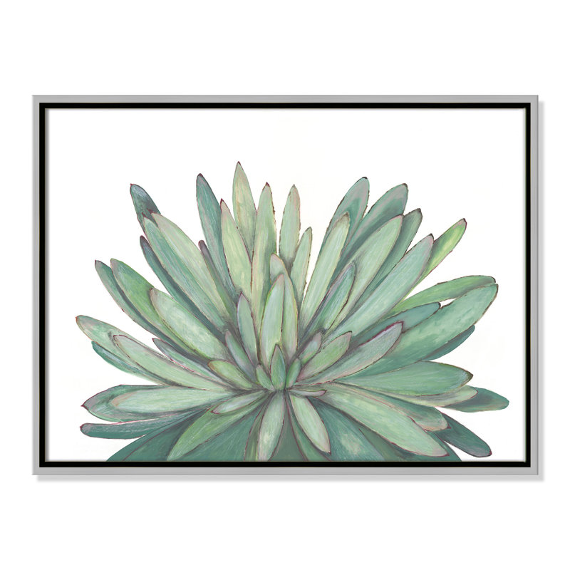 «Succulent - Floater Frame», reproduction d'art sur toile, Encadrement argenté, H 18 po x l 24 po x P 2 po