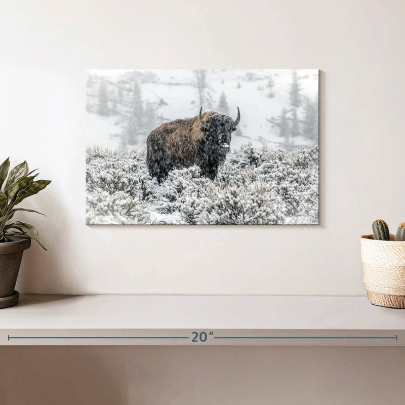 Brampt Lamar Valley Bison, 8" H x 12" W