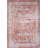 Oriental Indoor Rug-795335041