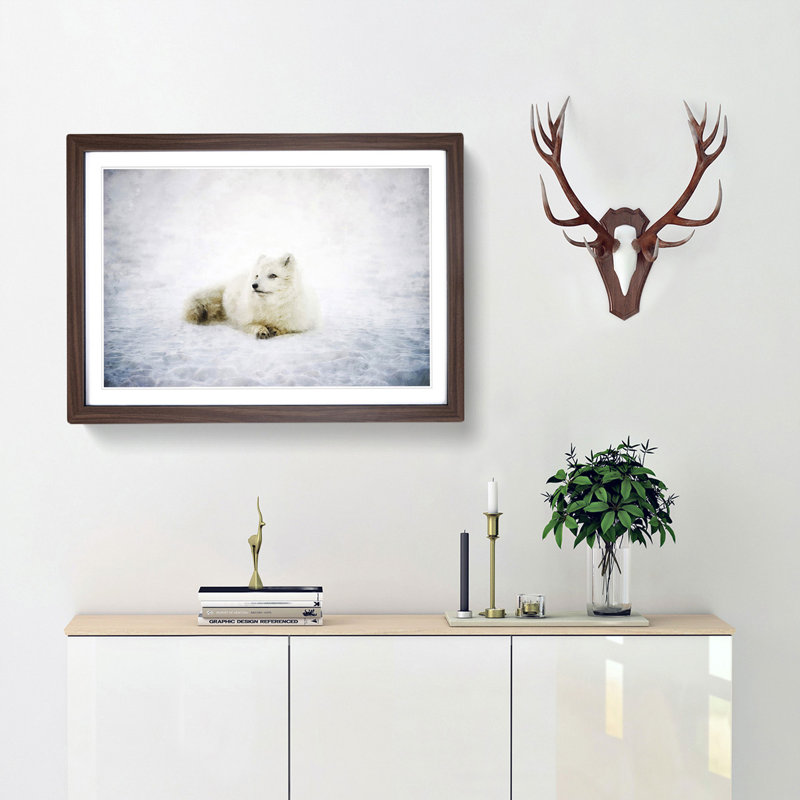 Resting Arctic Fox - Framed Print, 33cm H x 45cm W x 2cm D, Walnut Framed