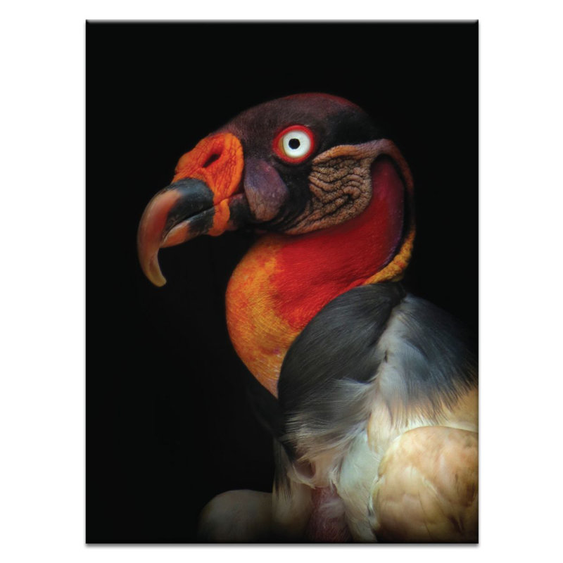 Photographers Lane - Wrapped Canvas Print, 51cm H x 41cm W