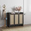 Armoire de rangement pour chaussures Chada 30 paires avec 3 portes et tablettes réglables Chada-1045036322