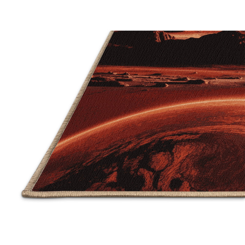 Tapis brun lavable à la machine, Rectangle 6 pi x 9 pi