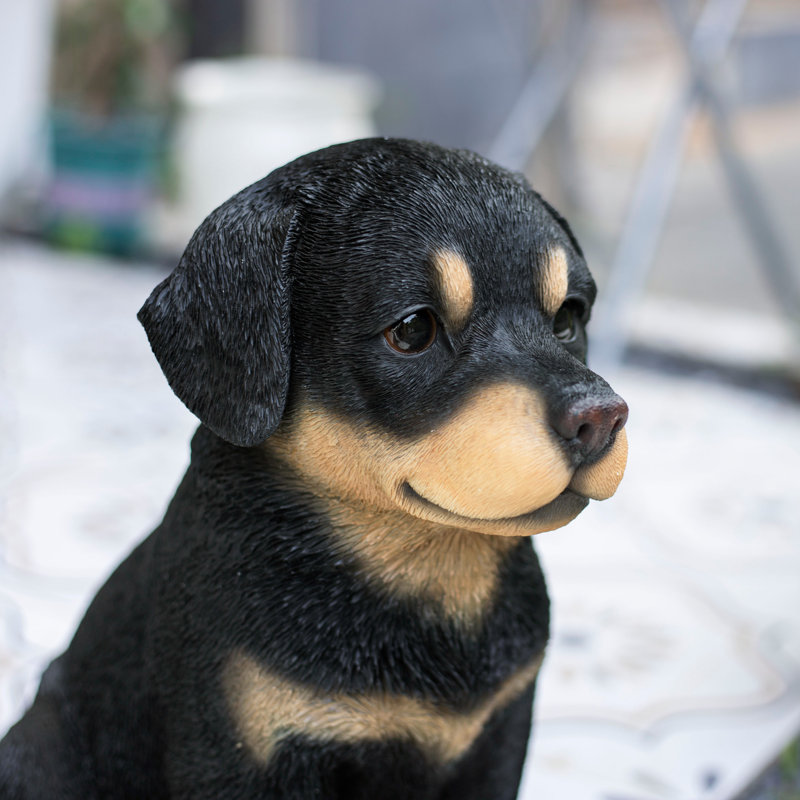 Black Rottweiler | Handpainted Decorative Puppy Statue for Home & Garden Decor | Premium Polyresin Dog Statue | Gift for Dog Lovers | Weather-Resistant Indoor/Outdoor Decor