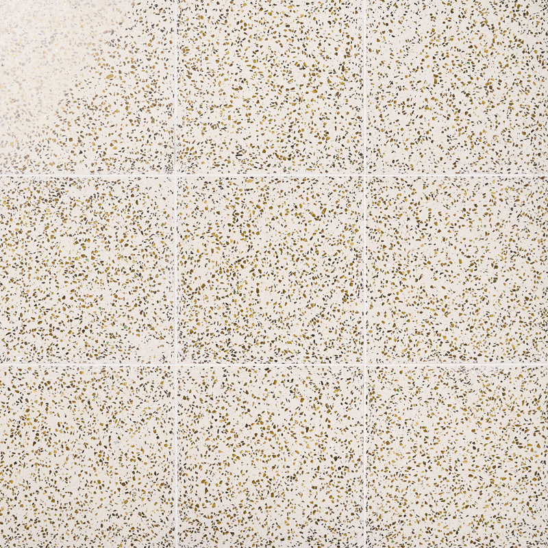 Veritas Terrazzo 16X16 Polished Terrazzo Tile, Brown/Beige