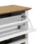 Eliphalet 6 Pair Shoe Storage Cabinet