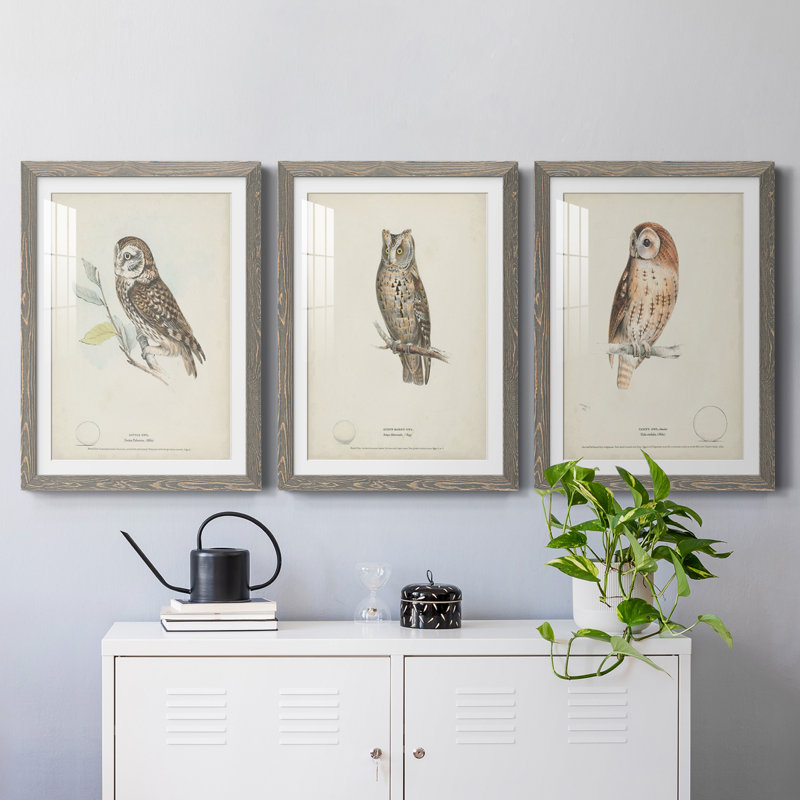 Little Owl Premium encadré mat - prêt à accrocher, Gris, H 20 po x l 51 po x P 1,5 po
