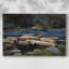 Hudson River, Logging-Winslow Homer-Gallery, toile tendue - 1897-1676659320