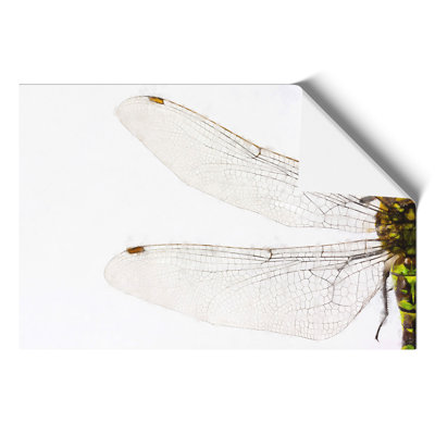 Dragonfly Painting - Frameless Print