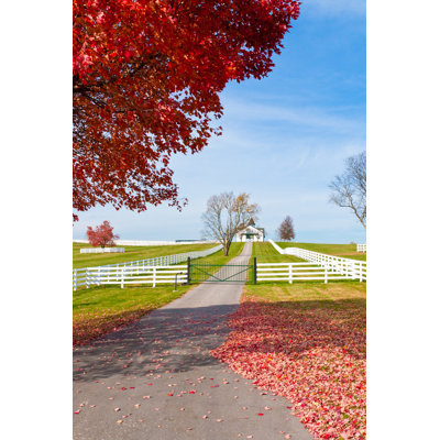 Bourland Late Autumn At Countryside by Volgariver - Wrapped Canvas Print