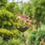 Ensemble de 6 mangeoires d'oiseaux décoratives pour parasol
