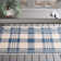 Debriana Performance Plaid Indoor/Outdoor Area Rug