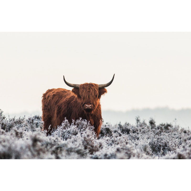 Wrapped Canvas Print, 60.96 cm H x 91.44 cm W