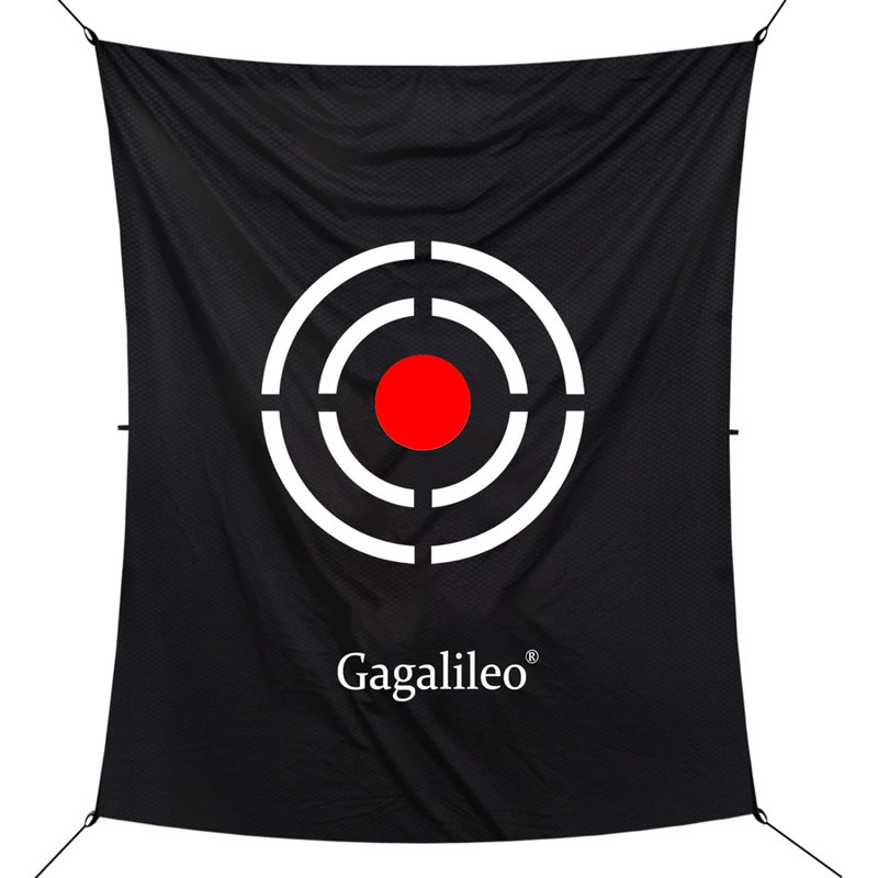 GaGalileo Goal