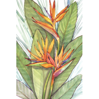 Paradis tropical botanique I