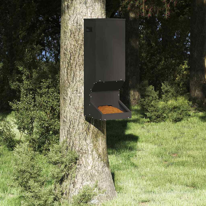 Feeder, Black