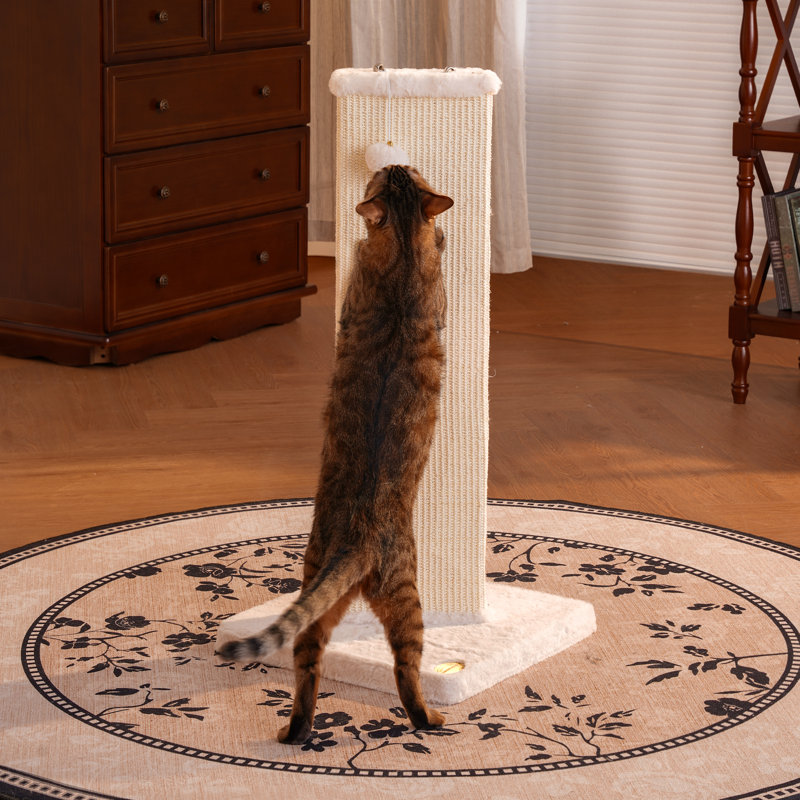 Grattoir pour chat très haut Morden, Blanc cassé