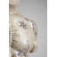 Deco Object Torso Tattoo