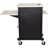 40'' H x 21'' W Cart with Wheels