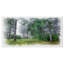 «Green Forest Watercolor Dessin», impression sur toile tendue-19239902