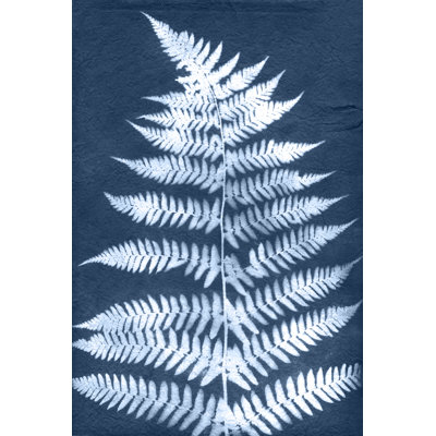 Tekiyah Cyanotype Fern Leaf III by Jason Johnson - Wrapped Canvas Print