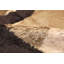 One-of-a-Kind Rectangle 8'2" X 11'4" Area Rug