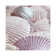 Shells and Glitter II Pink Square by Monika Strigel - Wrapped Canvas Photograph