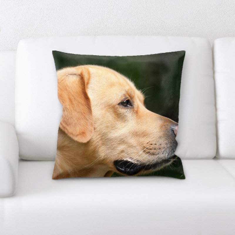Coussin pour chien