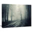 «Spooky Dark Forest with Fog», reproduction de photo sur toile tendue encadrée-63567548