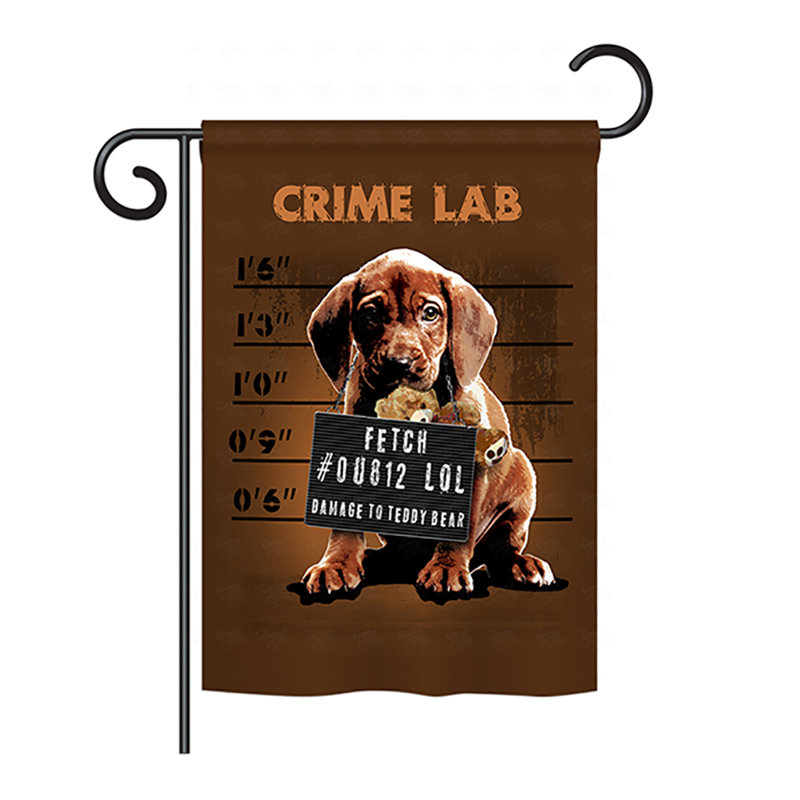 Drapeau de maison Harway Crime Lab, H 40 po x l 28 po