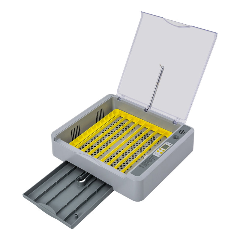 Feimster Chicken Egg Incubator For Up To 30+ Eggs