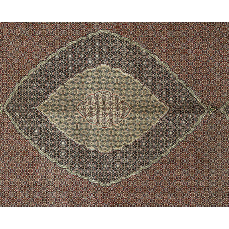 Shah Wool Oriental Area Rug