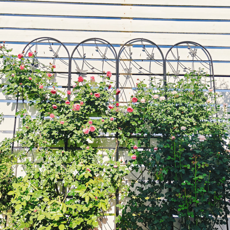 Treillis en métal antirouille pour plantes grimpantes avec libellule - idéal pour la décoration de jardin