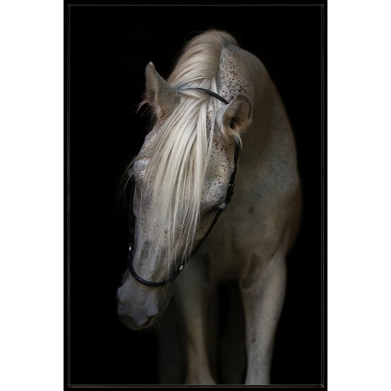 Art sur toile Arabian Stallion, H 60 po x l 38 po, Cadre flottant noir