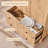 71" Tall Arched Pantry Cabinet, Fluted Kitchen Storage Cabinet with Adjustable Shelves and 2 Large Drawers-67917024
