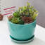 Pot Planter-319027715-319027714-319027713