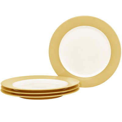 Colorwave 11" Dinner Plate
